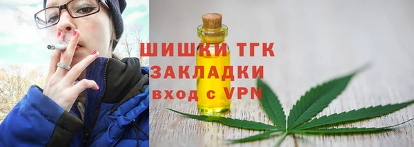 сатива Балахна