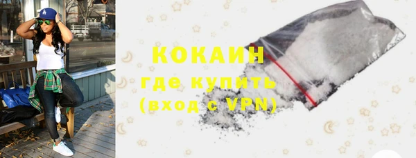 прущие грибы Баксан