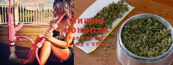 прущие грибы Баксан
