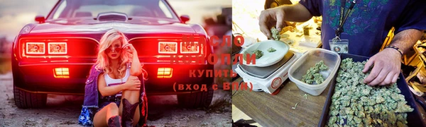 прущие грибы Баксан