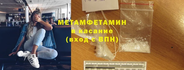 сатива Балахна