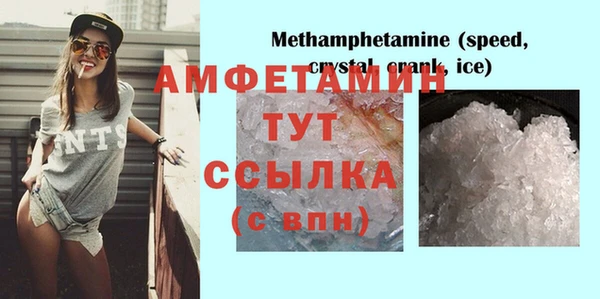 прущие грибы Баксан