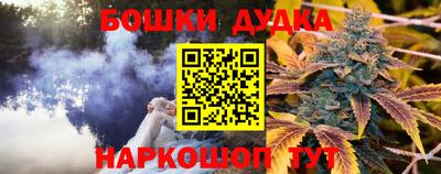 дживик Тверь