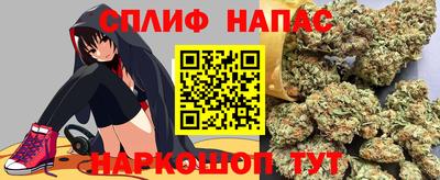 дживик Тверь