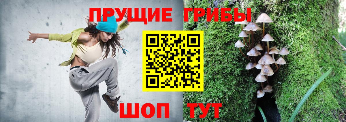 Галлюциногенные грибы Cubensis Старая Русса